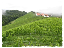 Weingut Jöbstl