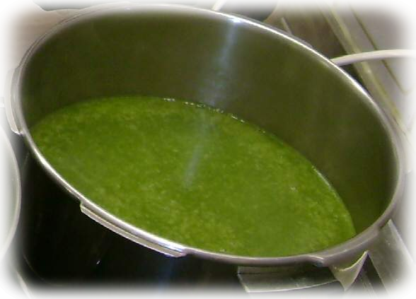Bärlauchsuppe