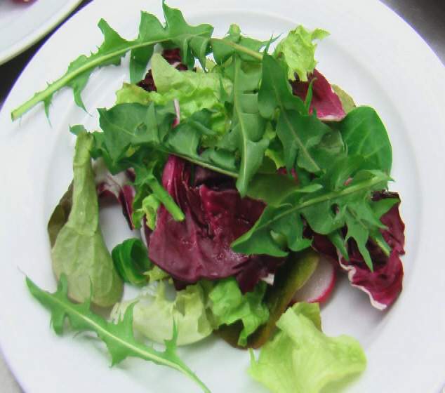 Blattsalat Blattsalat