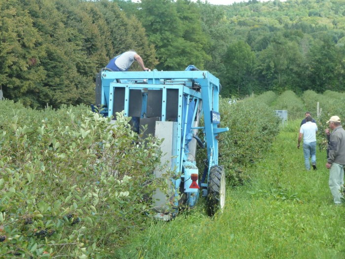 Braud 524 RH Erntemaschine