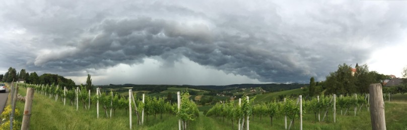 26.06.2016 Sankt Anna am Aigen Panorama 6