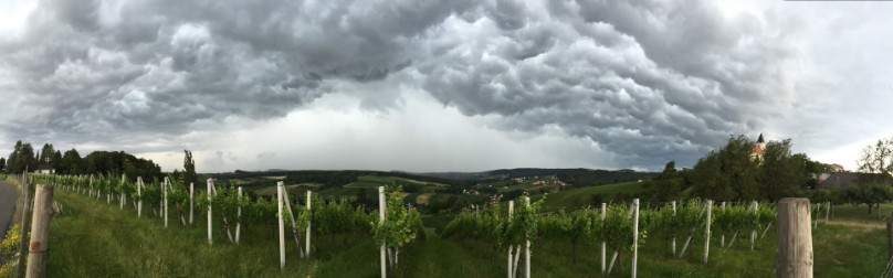 26.06.2016 Sankt Anna am Aigen Panorama 8
