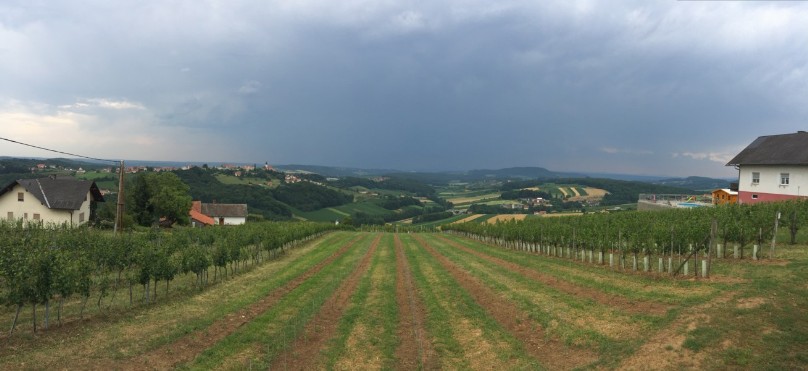 26.06.2016 Sankt Anna am Aigen Panorama 25