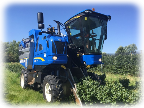 New Holland Braud 9060 L