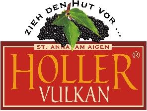 Holler-Vulkan-GmbH-Logo