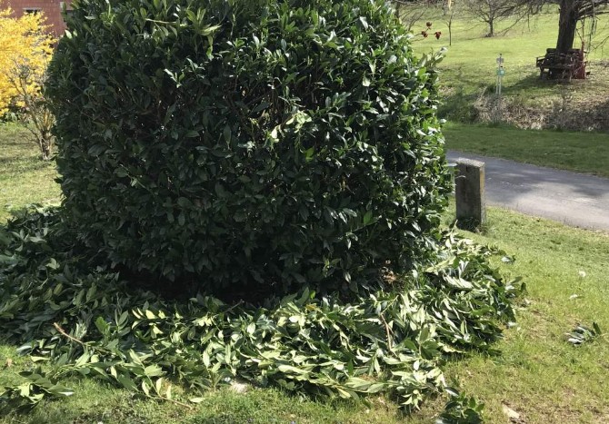 Klapping Schmied Gartenarbeit
