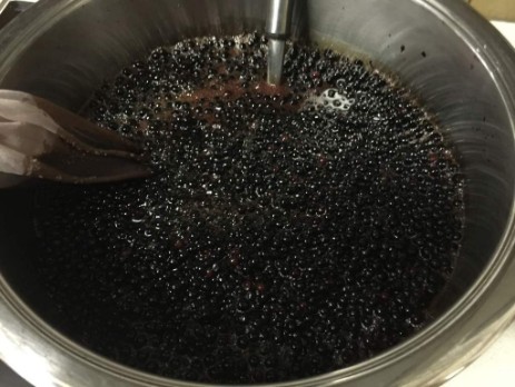 Schwarzer Holunder u Balsamico Schwarzer Holunder u Balsamico
