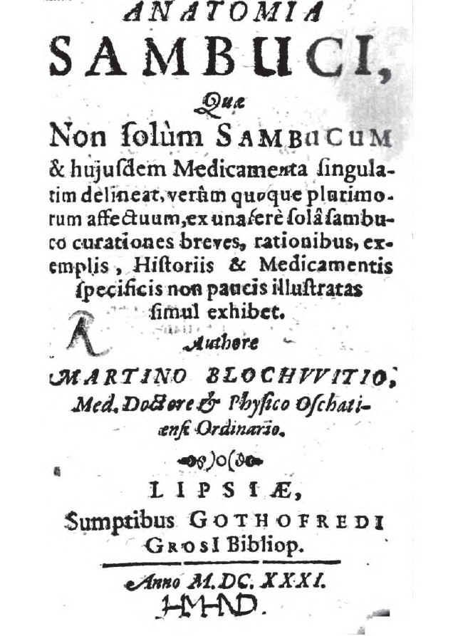 anatomia sambuci dr martin blochwitz blockwitz blochwiti anatomie des holunders anatomia sambuci dr martin blochwitz blockwitz blochwiti anatomie des holunders